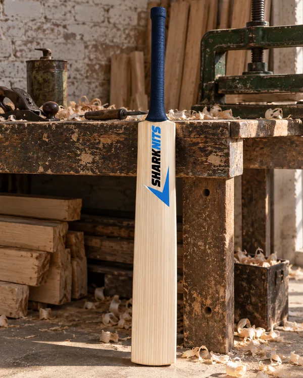 WILLOW cricket bat